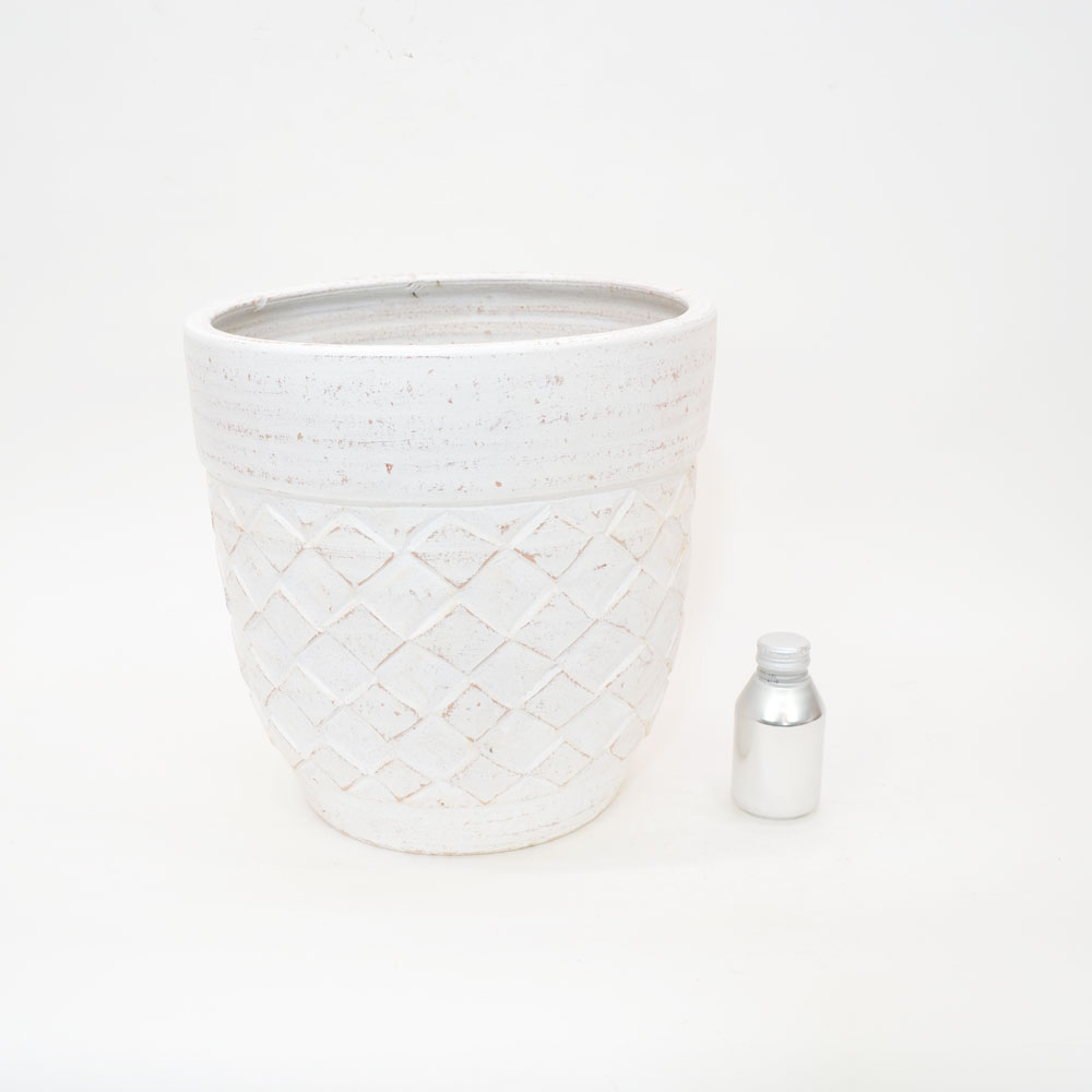 ���顼�ƥ饳�å�����ȭ �ץ�󥿡� ������ L 12�� ��