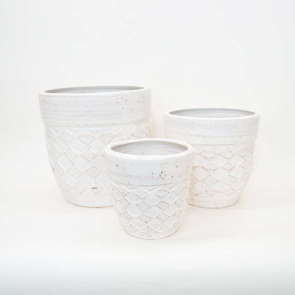 ���顼�ƥ饳�å�����ȭ �ץ�󥿡� ������ L 12�� ��