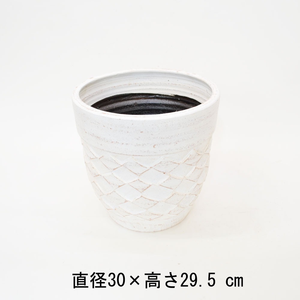 ���顼�ƥ饳�å�����ȭ �ץ�󥿡� ������ M 10�� ��