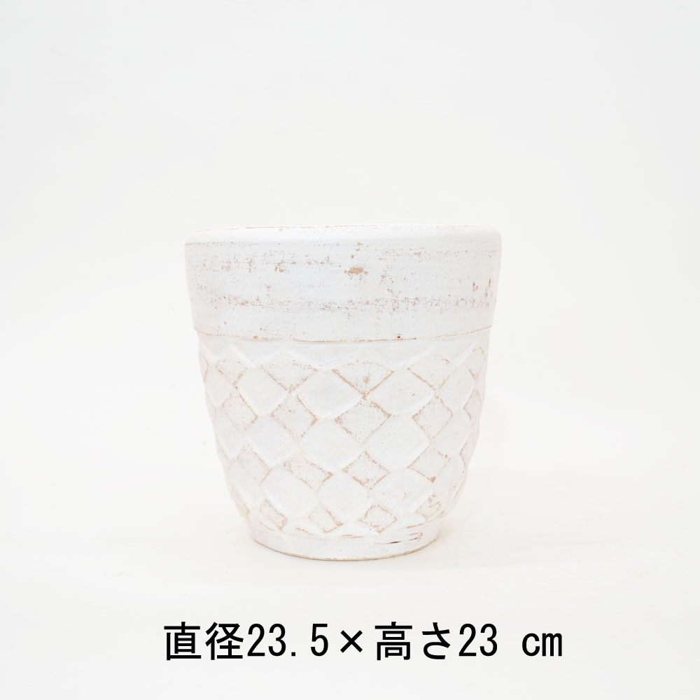 ���顼�ƥ饳�å�����ȭ �ץ�󥿡� ������ S 8�� ��