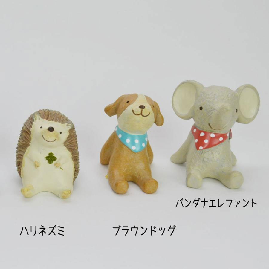 Ρƥ˥ޥޥå Хʥե ʪ