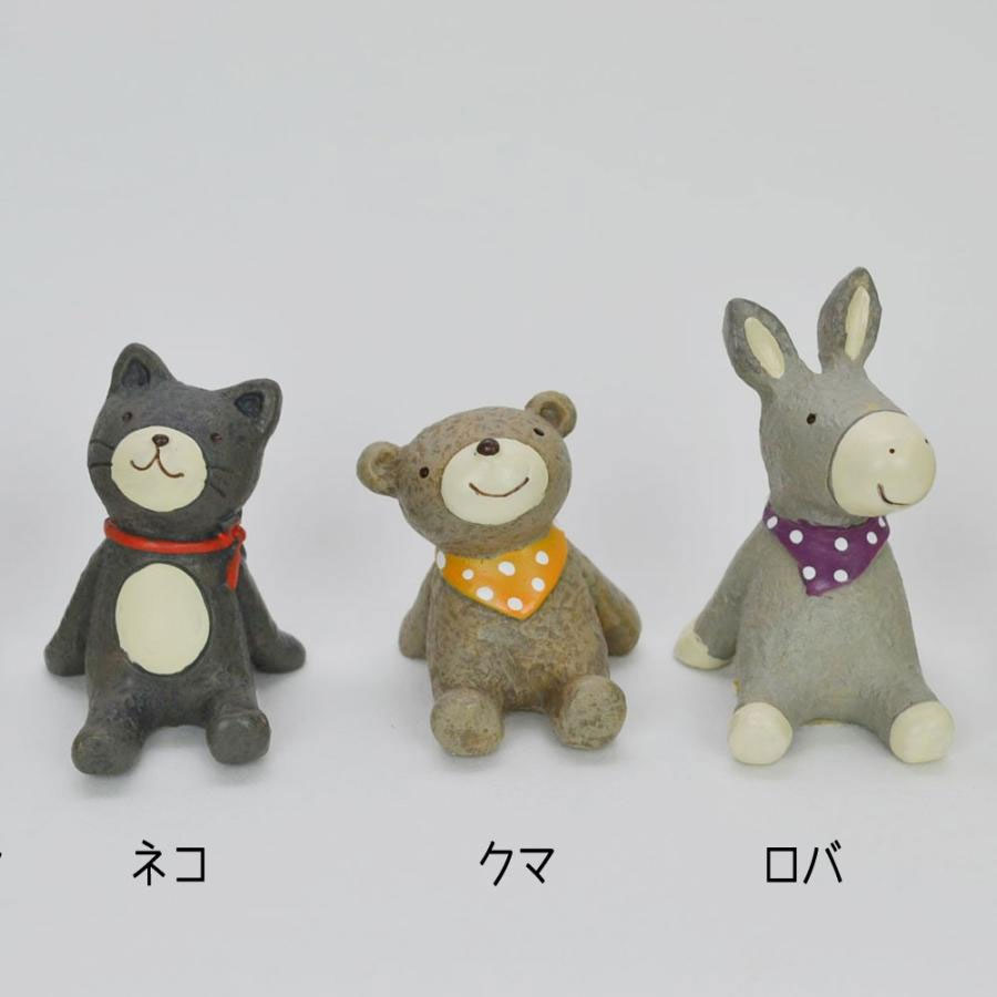 Ρƥ˥ޥޥå Хʥե ʪ