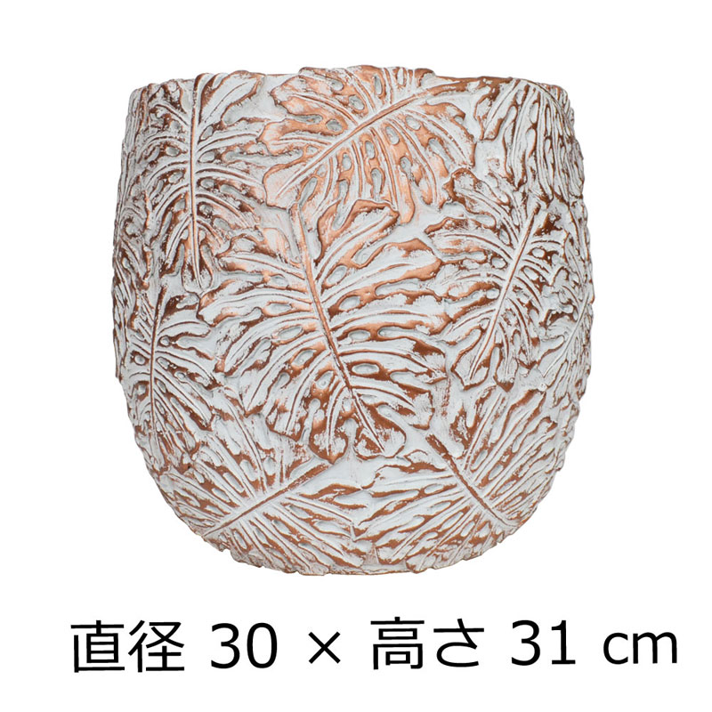 �ե����С������ȥݥå� ����ȭ ��󥹥ƥ� S �� �ۥ磻��