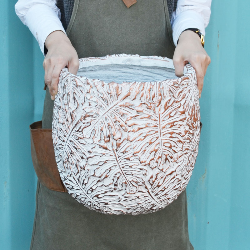 �ե����С������ȥݥå� ����ȭ ��󥹥ƥ� S �� �ۥ磻��