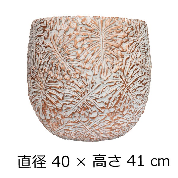 �ե����С������ȥݥå� ����ȭ ��󥹥ƥ� L �� �ۥ磻��