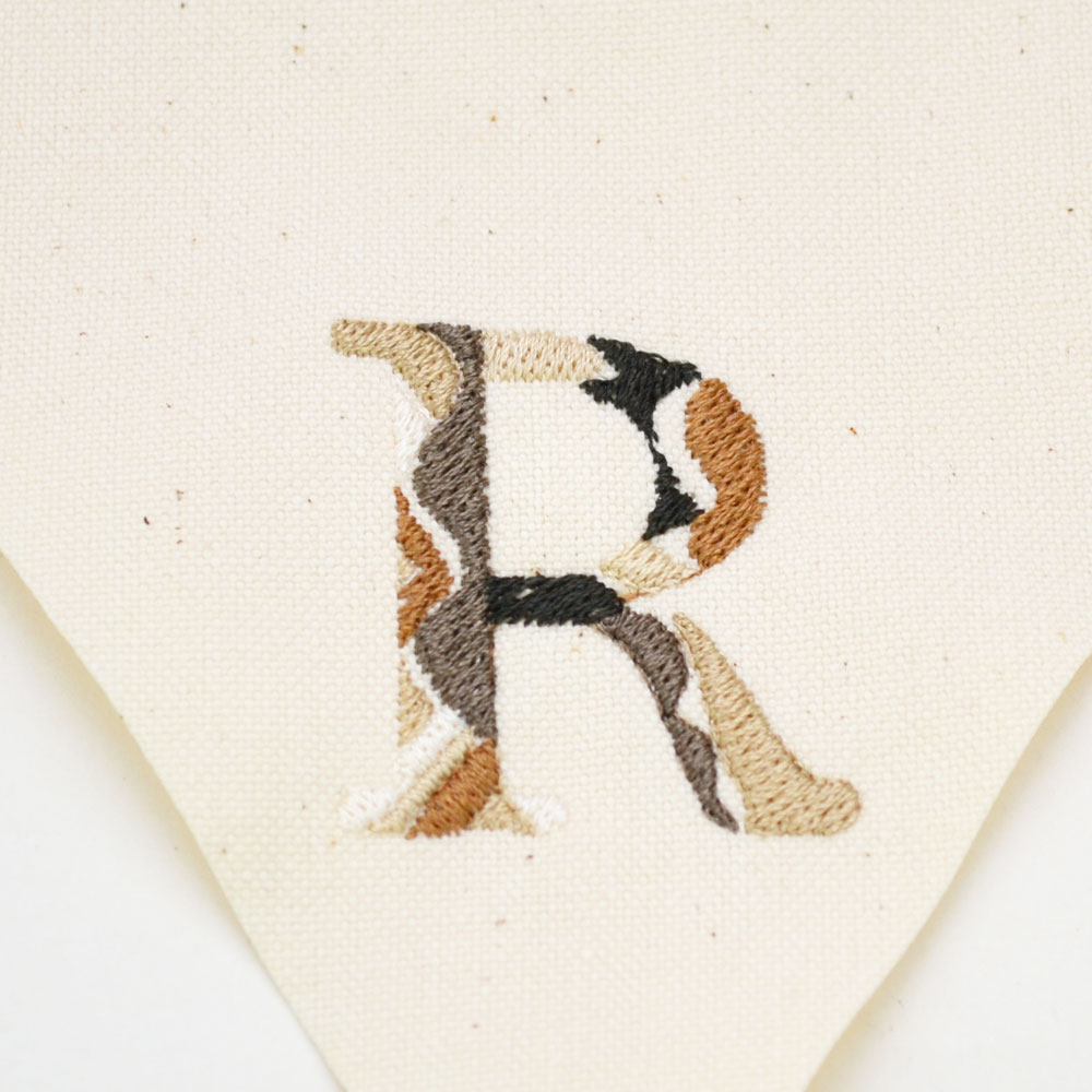 ���˥����ե�å��Х����å� R �������饹 ���� ���ܼ�