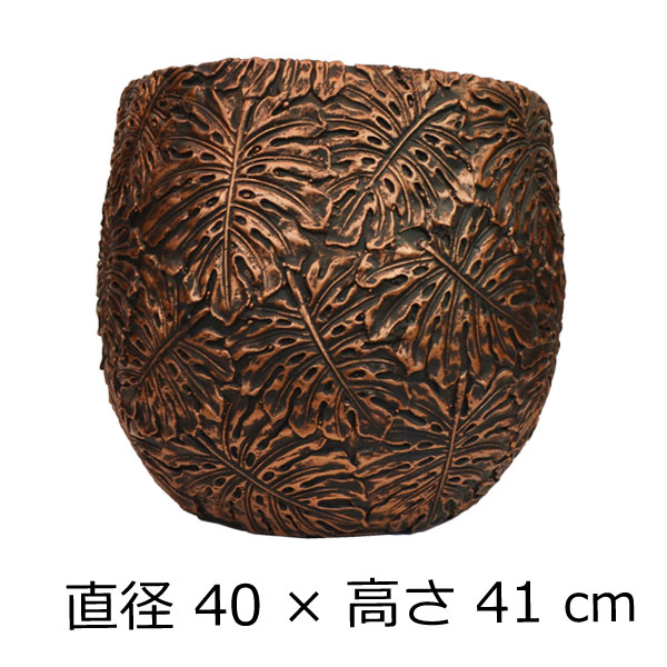 �ե����С������ȥݥå� ����ȭ ��󥹥ƥ� L �� �֥�å�