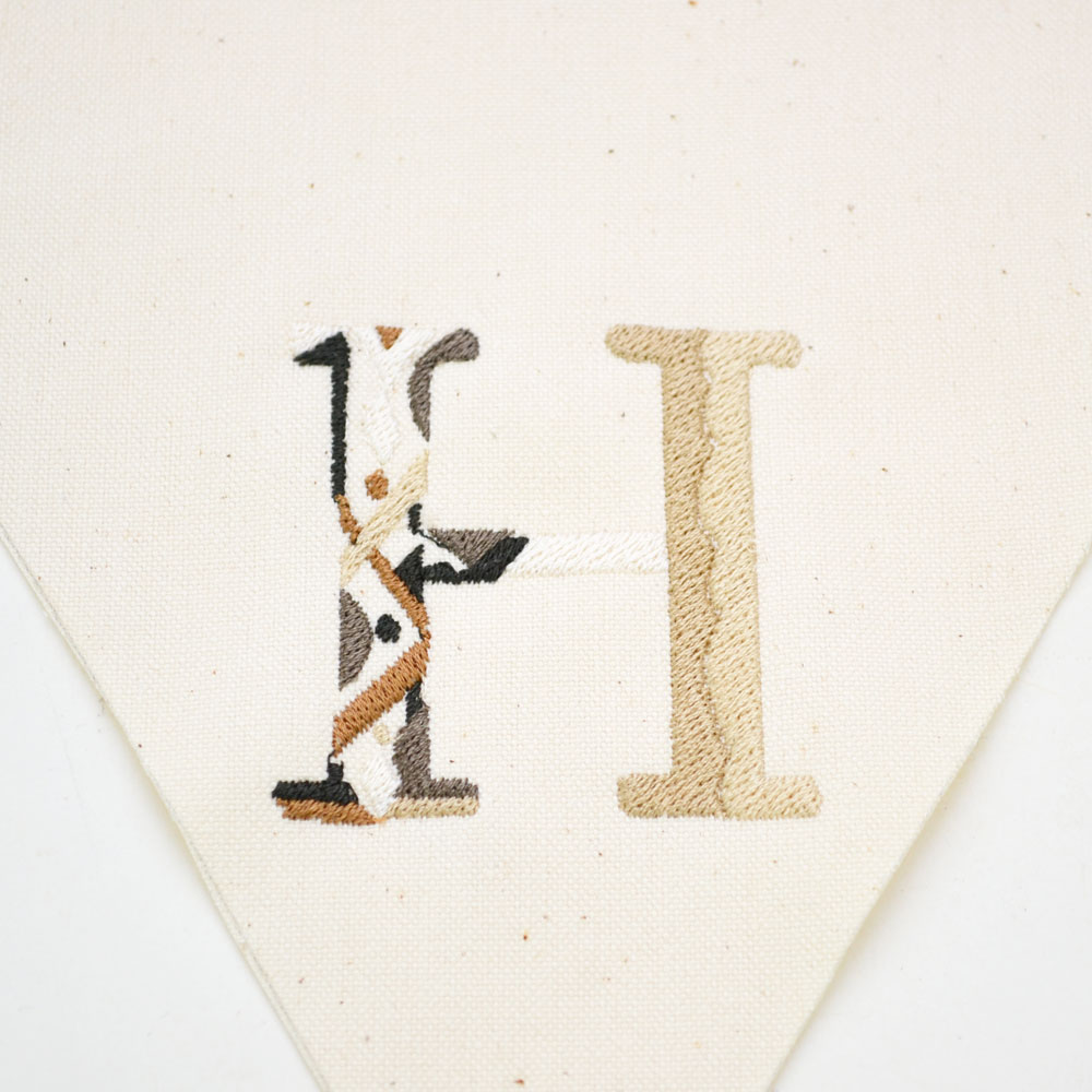 ���˥����ե�å��Х����å� H �������饹 ���� ���ܼ�