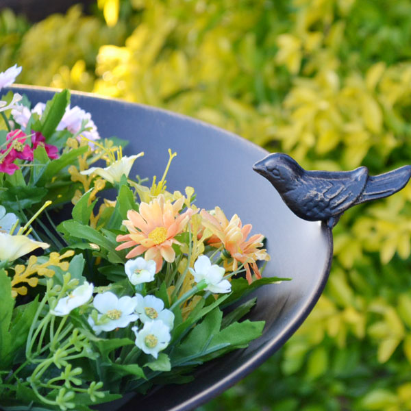 �С��ɥե������� ������ ������ �������� ��Ļ ��������Ļ��Ƥ�� ����ץ� ����ƥ������� ��Ȣ �� �����ǥ� ���� �С��ɥ����ǥ� �������� welcome �ǥ����ץ쥤