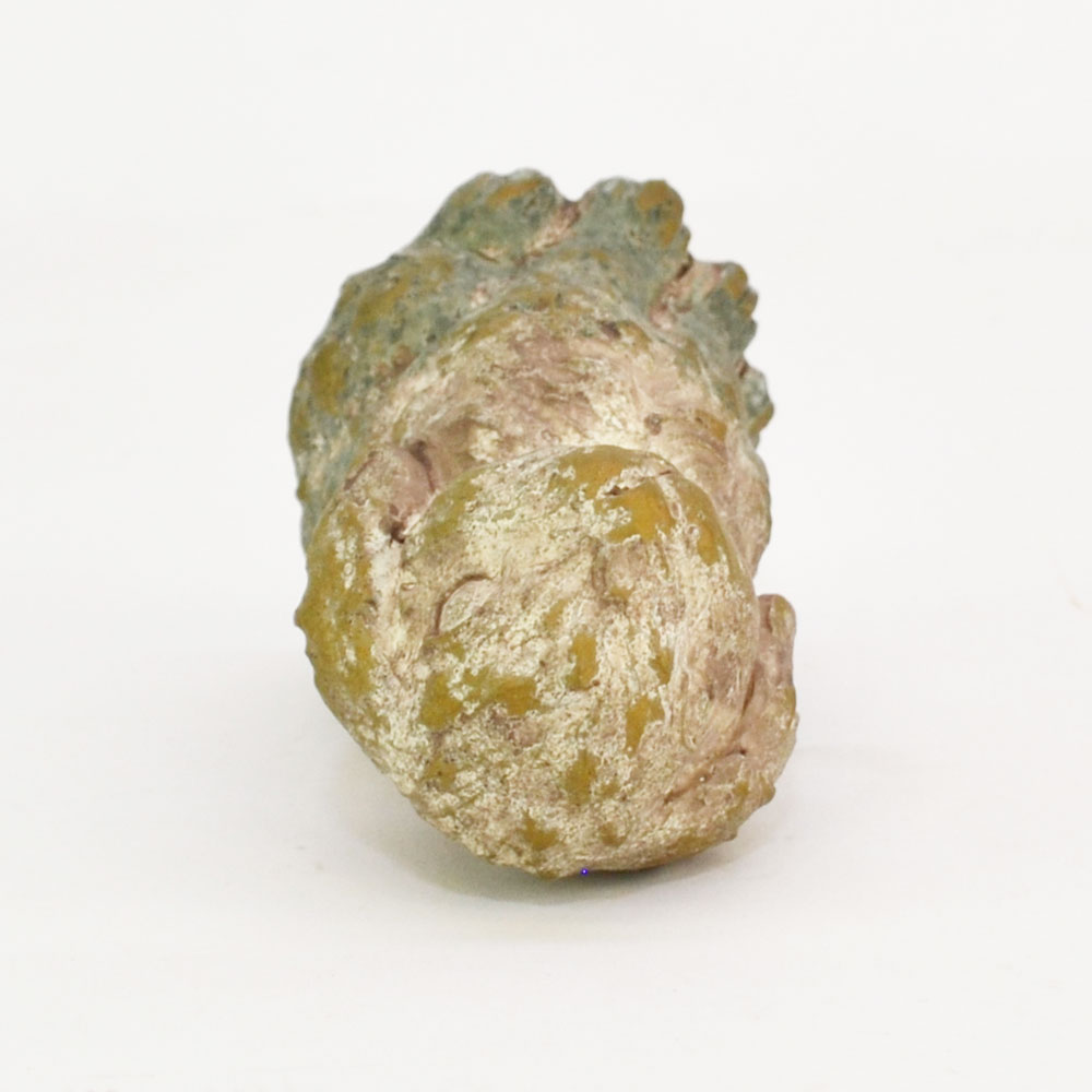 �������� �����ǥ󥪥֥��� ��ӥå� S ����ƥ�����Ĵ