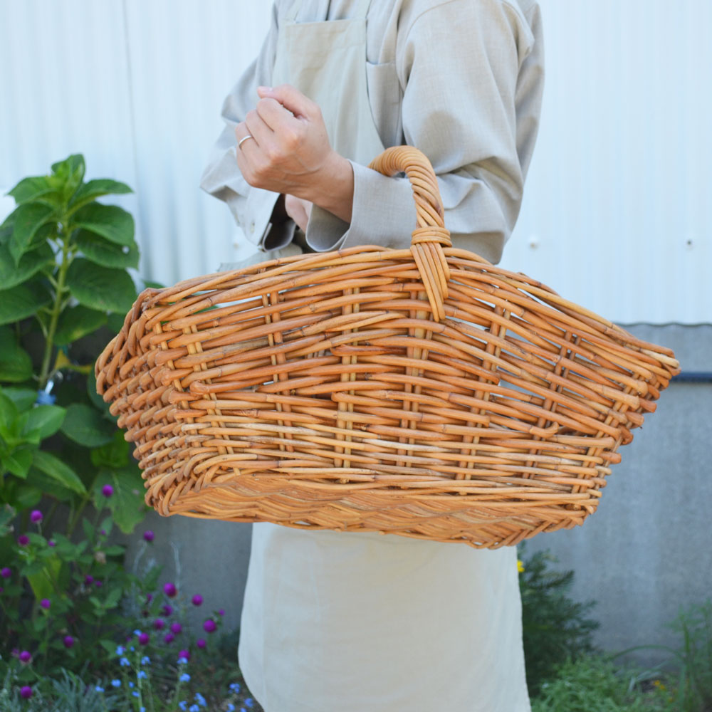 ��åɥ饿�� ���� �ԥ��˥å��Х����å� �� ��Ǽ���� ����