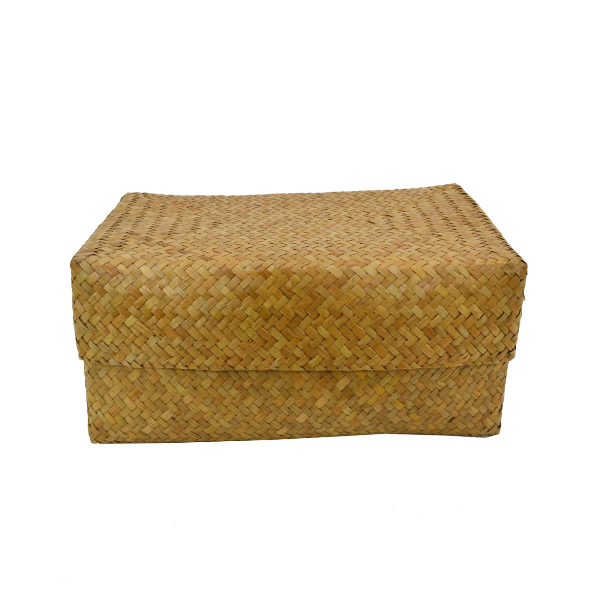������ �����塼 �դ��դ� �ͳ�BOX L ���� ��Ǽ ����