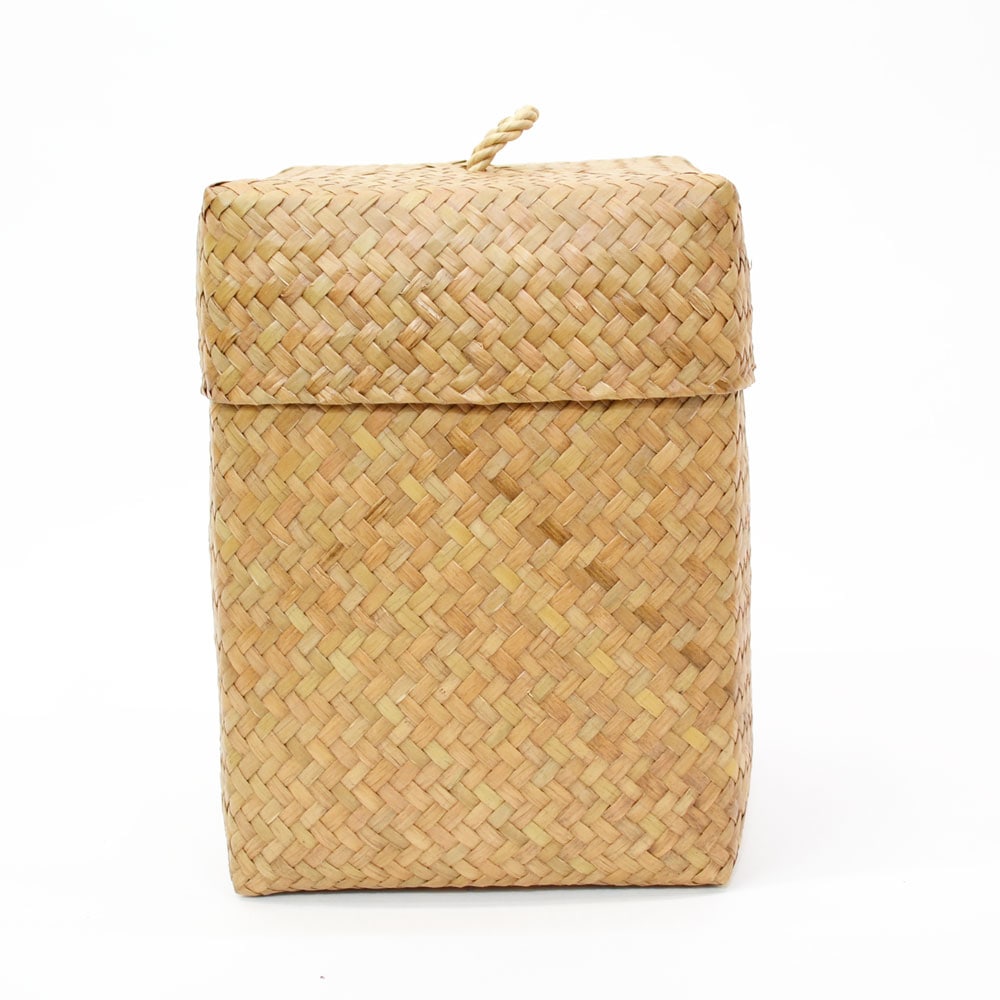 ������ �����塼 �դ�����դ� �ͳ�BOX L �ȡ��� ����