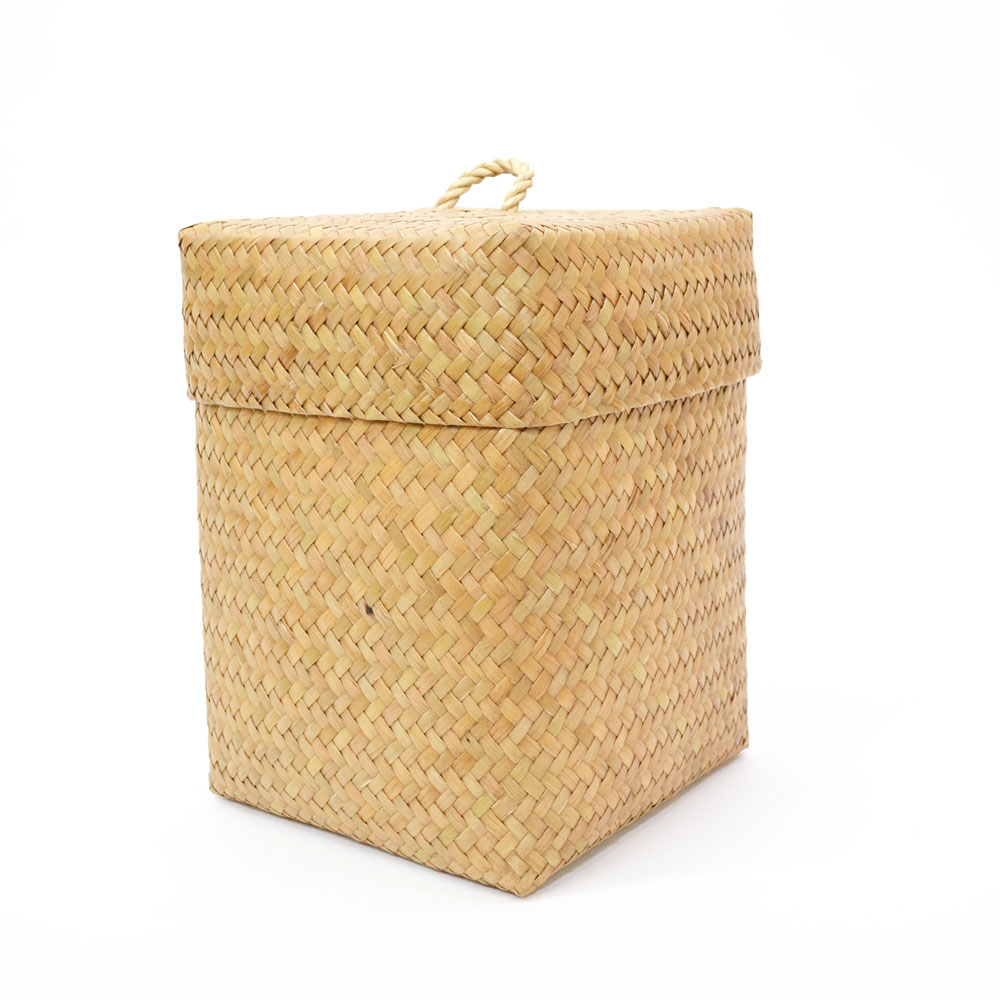 ������ �����塼 �դ�����դ� �ͳ�BOX L �ȡ��� ����