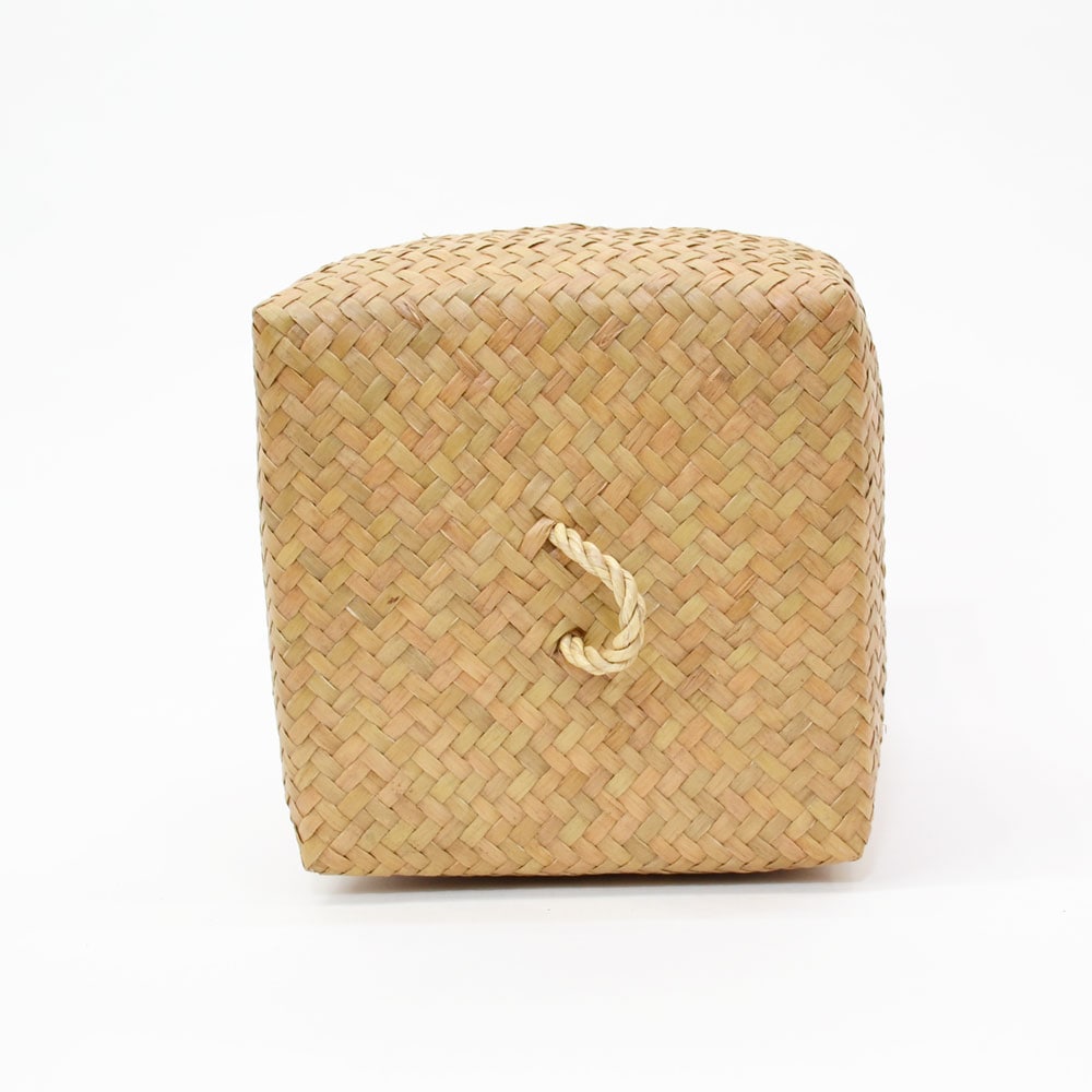 ������ �����塼 �դ�����դ� �ͳ�BOX L �ȡ��� ����