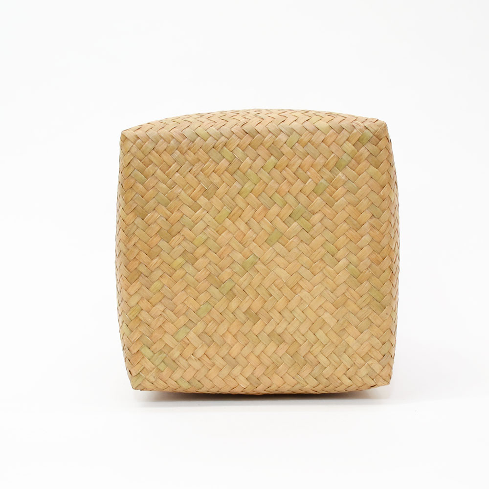 ������ �����塼 �դ�����դ� �ͳ�BOX L �ȡ��� ����