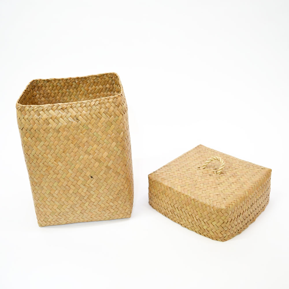 ������ �����塼 �դ�����դ� �ͳ�BOX L �ȡ��� ����