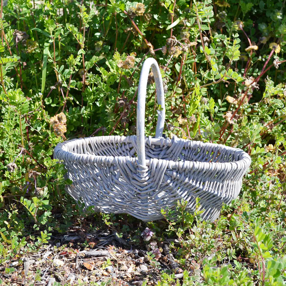 �� ����󥸤��� M �饤�ȥ��졼 ���������Х����å� ����