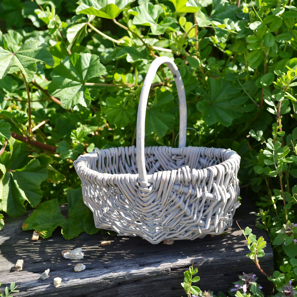 �� ����󥸤��� S �饤�ȥ��졼 ���������Х����å� ����