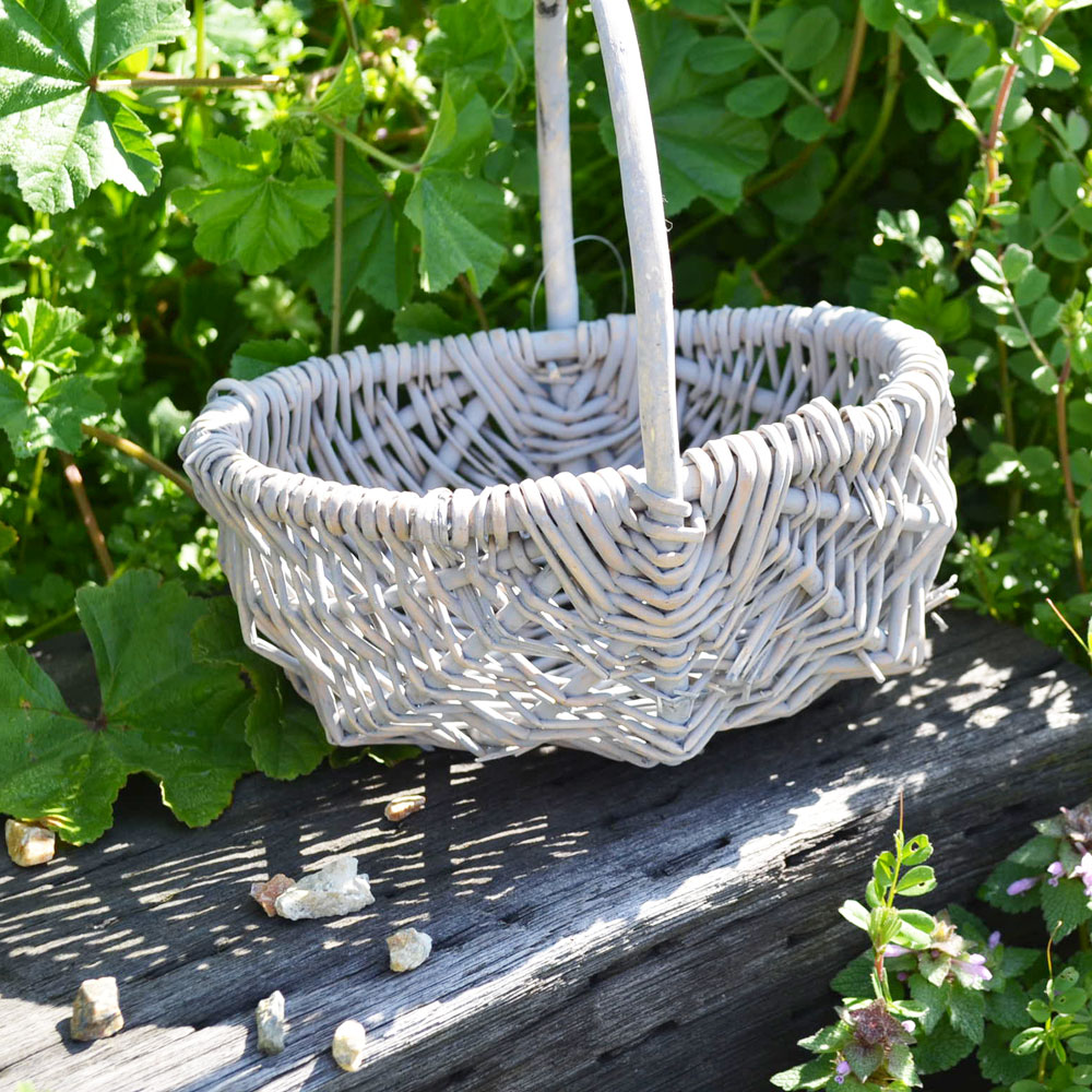 �� ����󥸤��� S �饤�ȥ��졼 ���������Х����å� ����