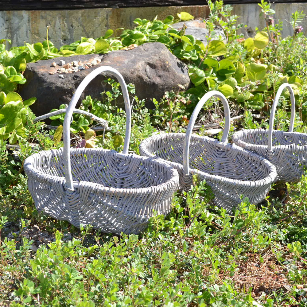 �� ����󥸤��� S �饤�ȥ��졼 ���������Х����å� ����