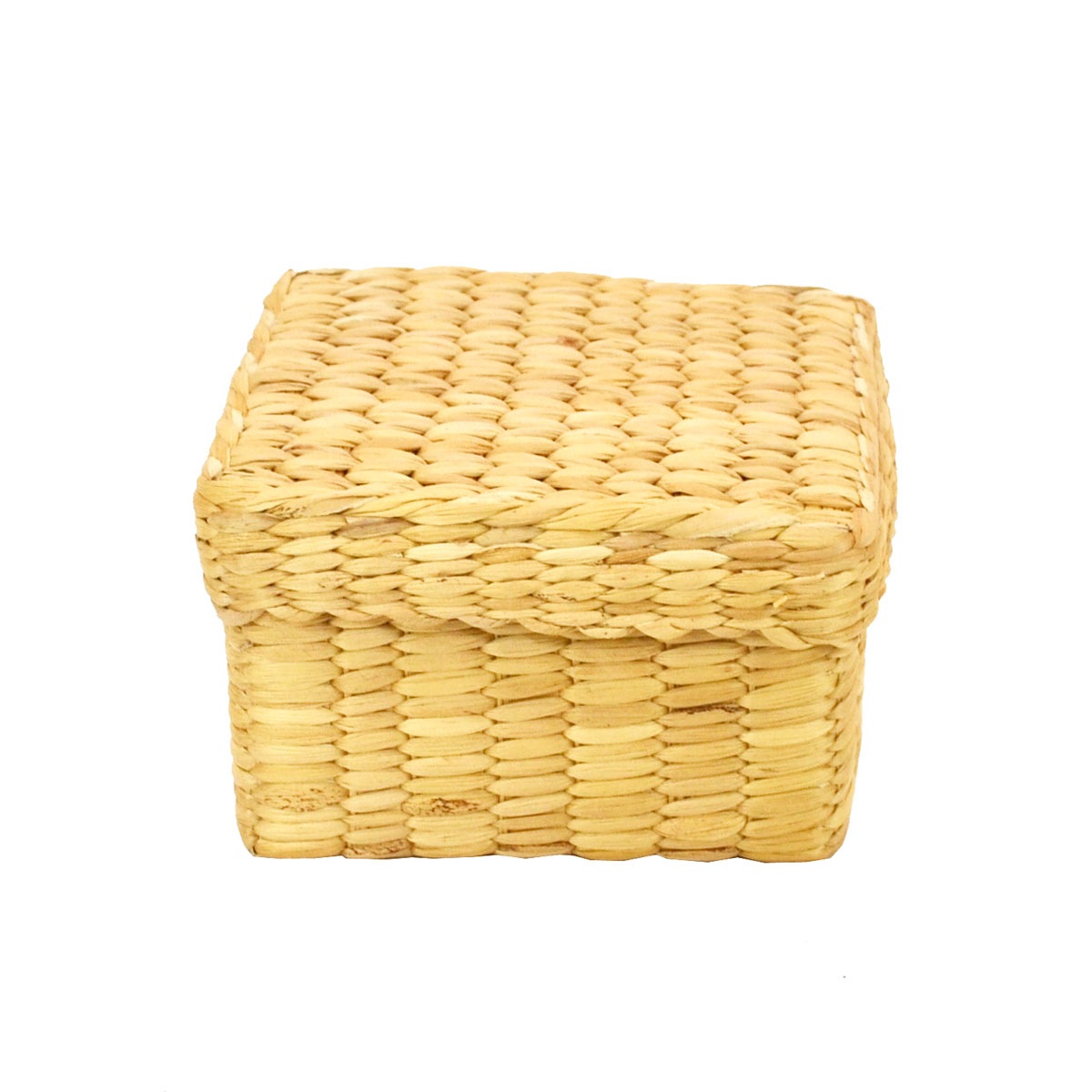 ������ �����������ҥ䥷�� ŷ���Ǻ� �դ��� BOX S