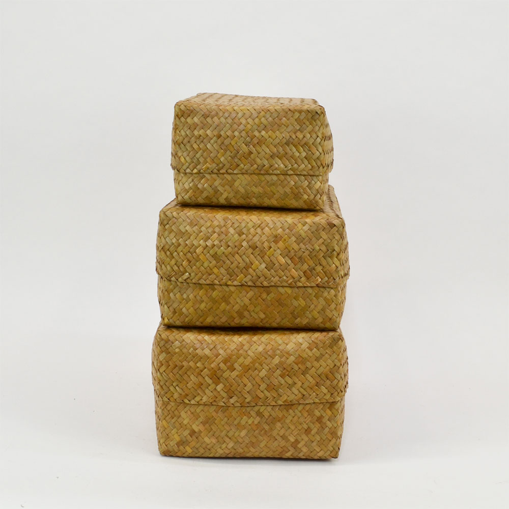 ������ �����塼 �դ��դ� �ͳ�BOX SML���å� ����