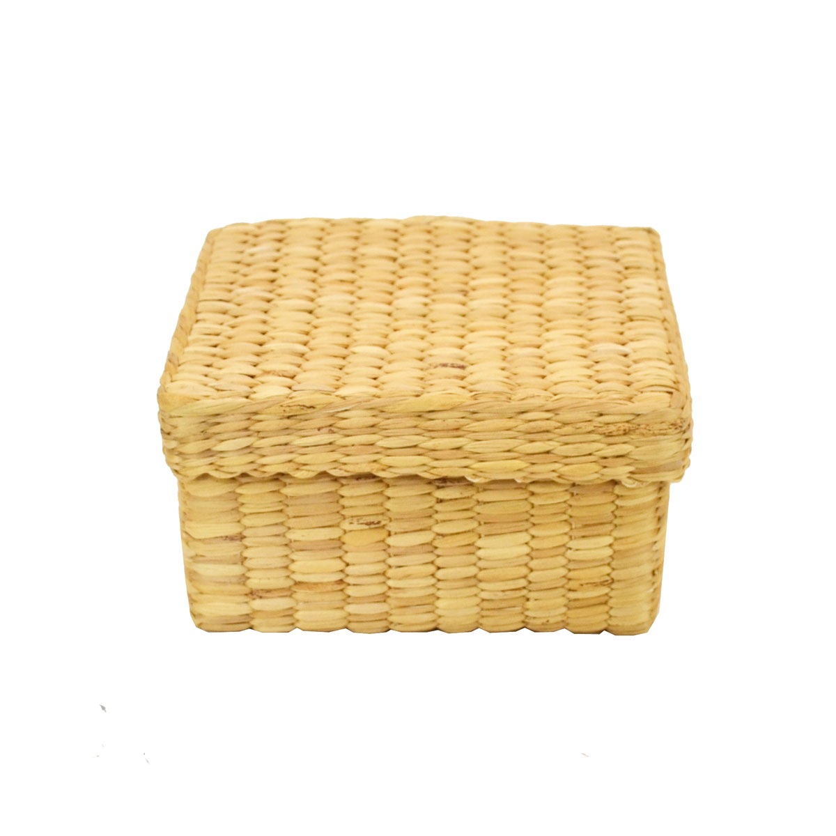 ������ �����������ҥ䥷�� ŷ���Ǻ� �դ��� BOX M