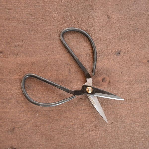 ����ƥ��ݥ���Ŵ�Ϥ��� 4����� �褯�ڤ�ƶ������Ǥ� �ۤ��ǥ��ꥸ�ʥ�ϥ��ߤ���Τ˺�Ŭ ��ȥ��ʿ���������� �ͤȰ㤦��ޯ��ʥϥ��ߤ��Ȥ����������� �������� �������� ����Ф���