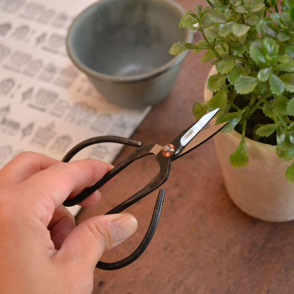 ����ƥ��ݥ���Ŵ�Ϥ��� 4����� �褯�ڤ�ƶ������Ǥ� �ۤ��ǥ��ꥸ�ʥ�ϥ��ߤ���Τ˺�Ŭ ��ȥ��ʿ���������� �ͤȰ㤦��ޯ��ʥϥ��ߤ��Ȥ����������� �������� �������� ����Ф���