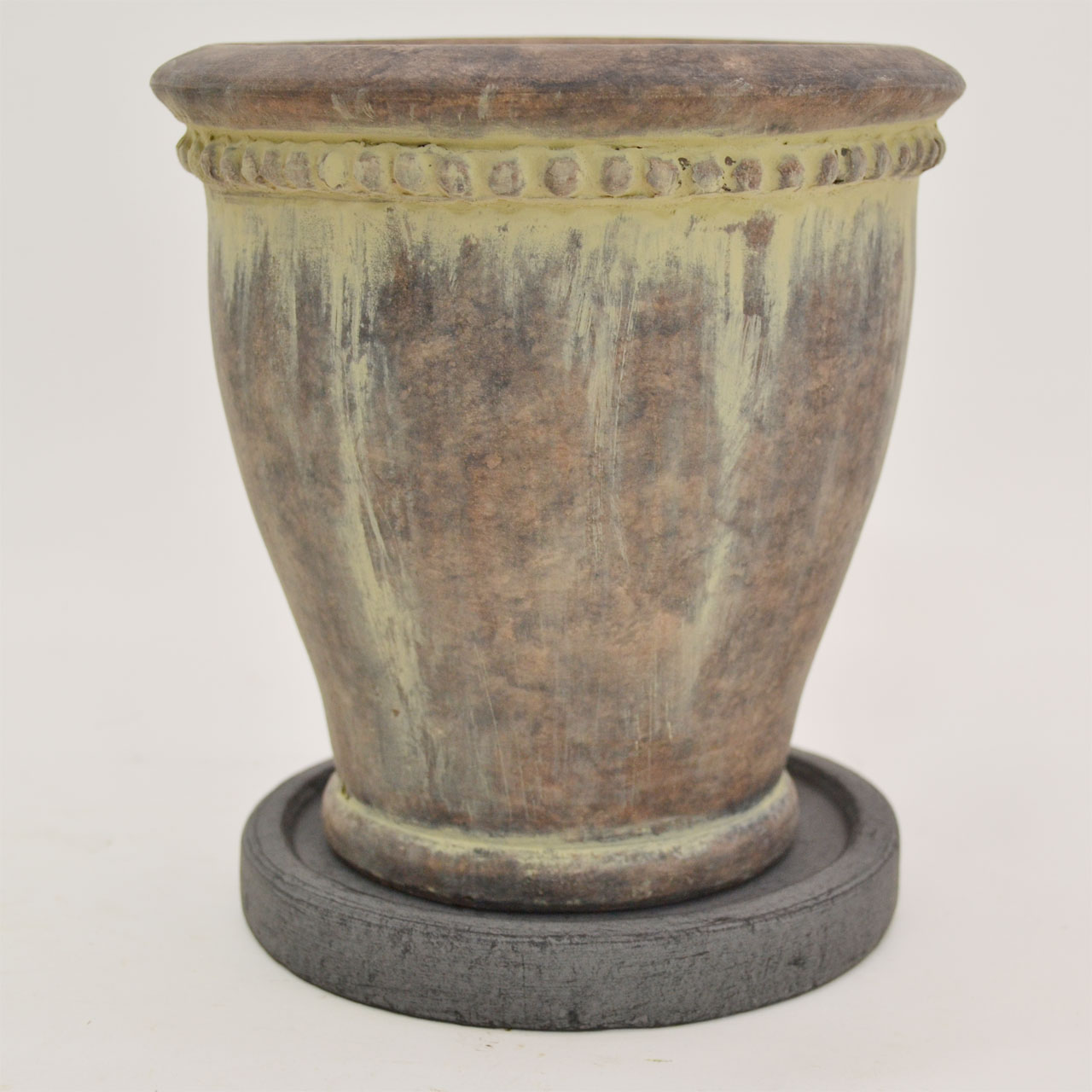 �ƥ饳�å��� ȭ�� ľ��15�� DGY ���� �������� ��ʪ