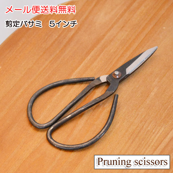 ����ƥ��ݥ��� Ŵ�Ϥ��� 5����� �褯�ڤ�ƶ����� �ۤ��ǥ��ꥸ�ʥ�ϥ��ߤ���Τ˺�Ŭ ��ȥ��ʿ���������� �ͤȰ㤦��ޯ��ʥϥ��� �������� �κۤ�ϥ�ɥᥤ�ɤ� �������� ����Ф��� ������