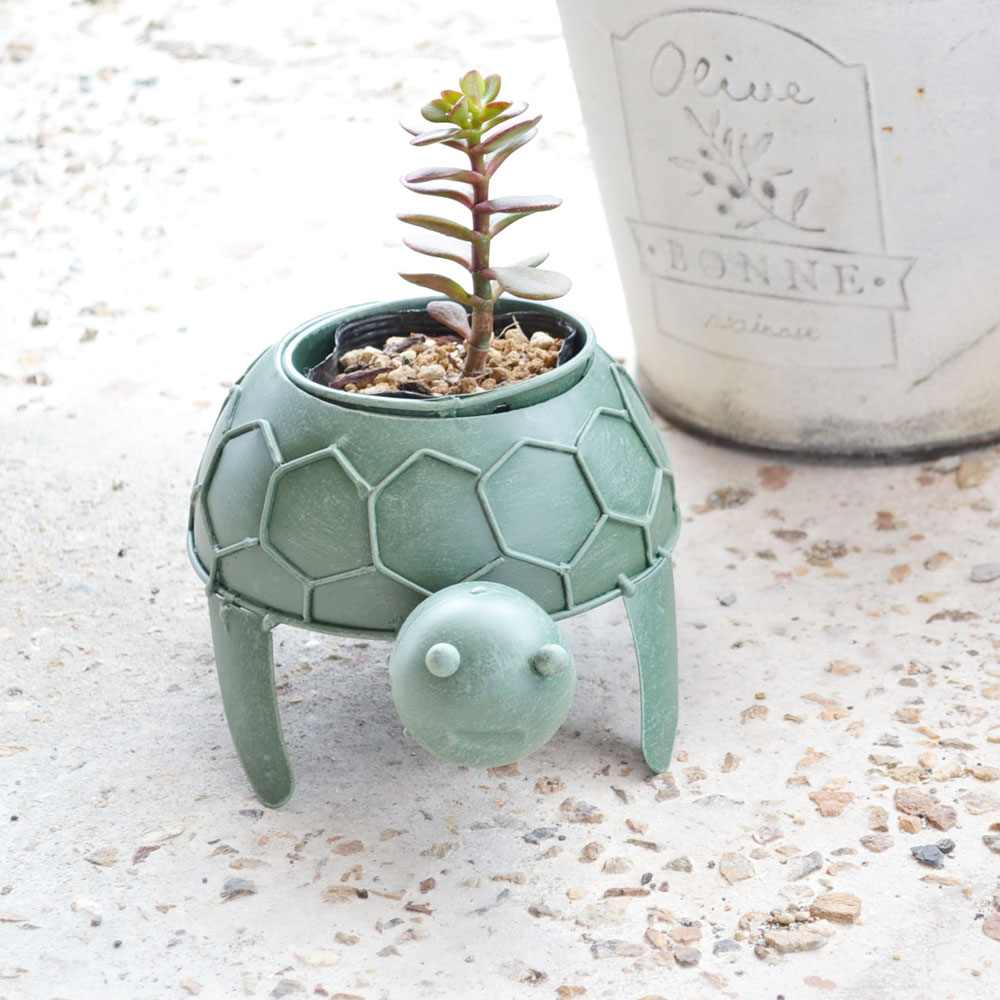 ֥ꥭ꡼ ȥץ󥿡 ֥ꥭ ץ󥿡 ȭ