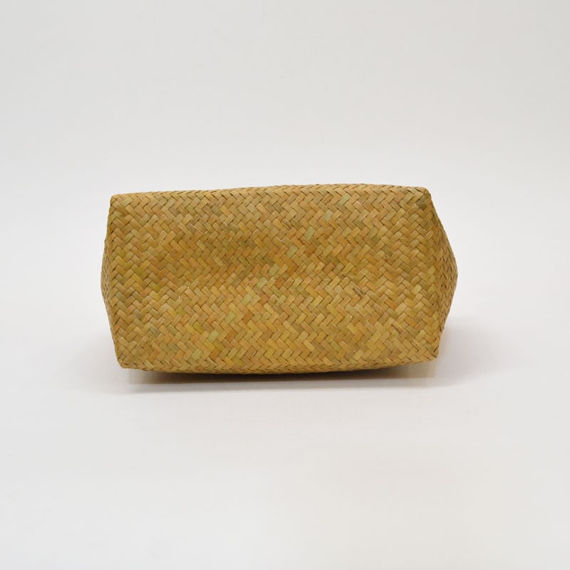 ������ �����塼 �����Хå� �ϥ�ɥХå� �� �ܥ��� ����