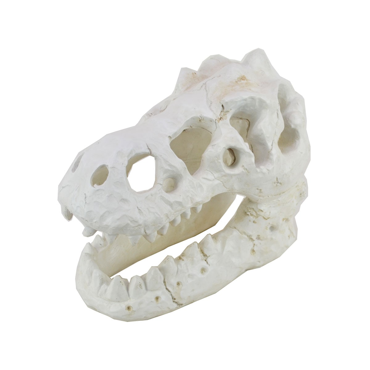 ダイナソースカル オブシェ 肉食恐竜 骨 骸骨 植物 置物