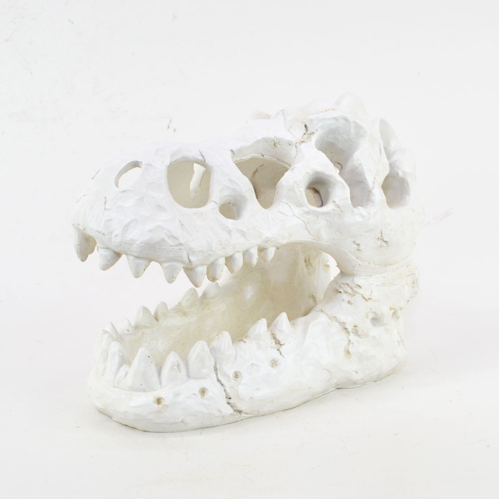 �����ʥ��������� ���֥��� ������ε �� ���� ��ʪ ��ʪ