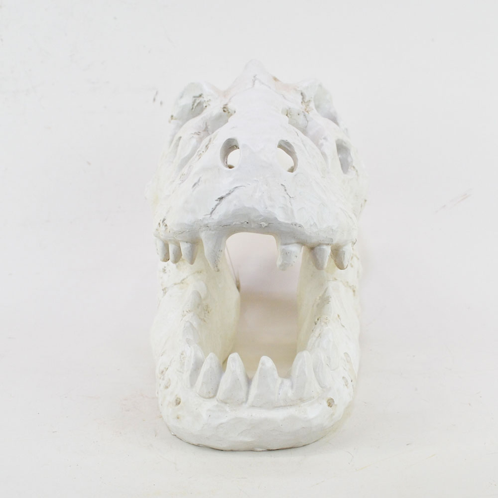 �����ʥ��������� ���֥��� ������ε �� ���� ��ʪ ��ʪ