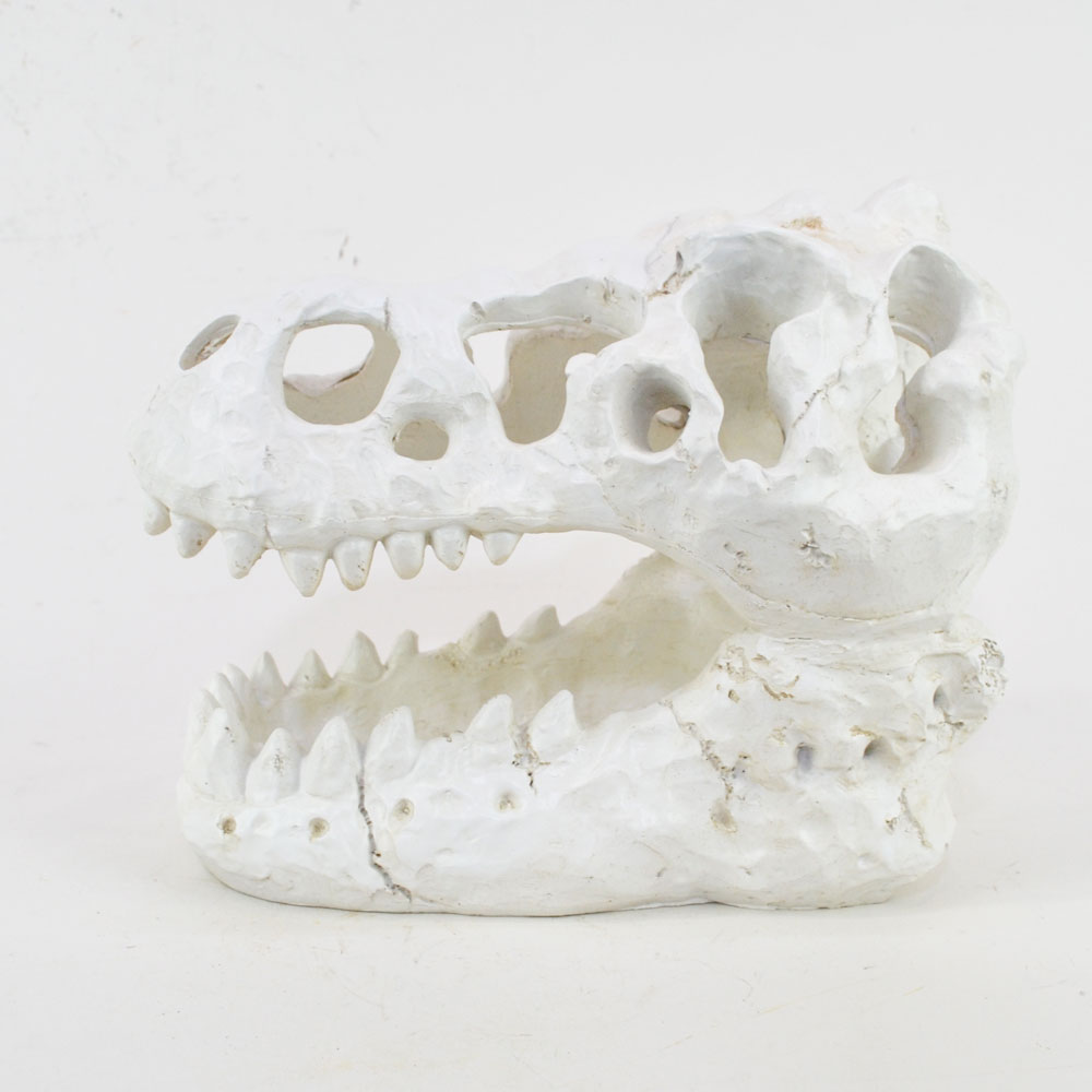 �����ʥ��������� ���֥��� ������ε �� ���� ��ʪ ��ʪ