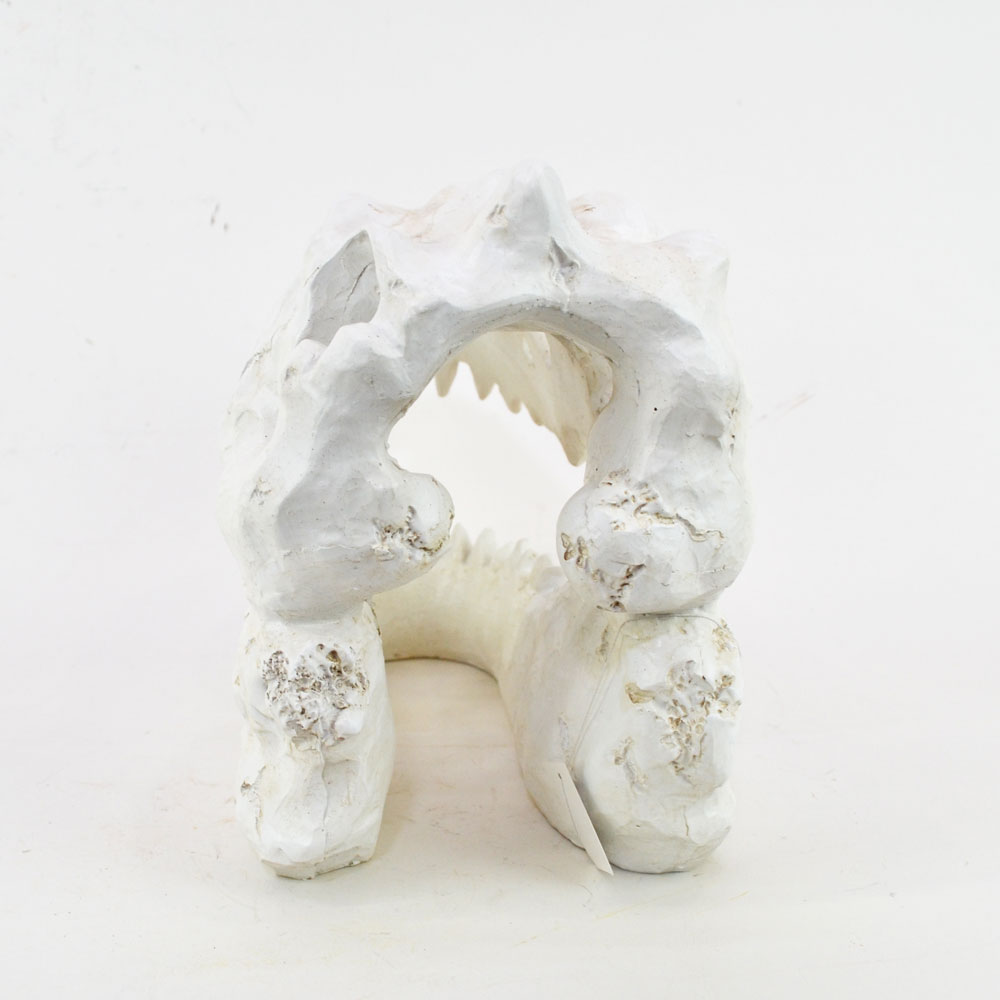 �����ʥ��������� ���֥��� ������ε �� ���� ��ʪ ��ʪ