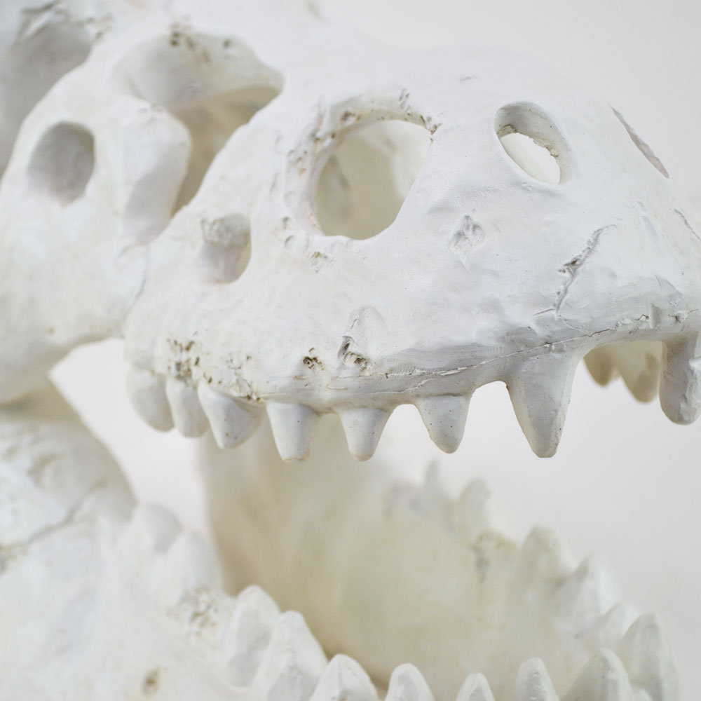 �����ʥ��������� ���֥��� ������ε �� ���� ��ʪ ��ʪ