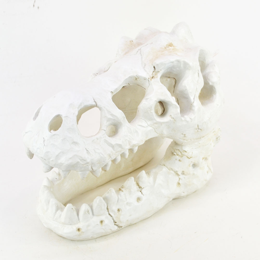 �����ʥ��������� ���֥��� ������ε �� ���� ��ʪ ��ʪ