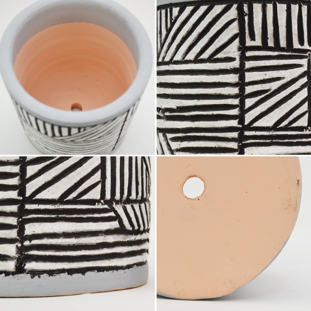 �ƥ饳�å�ȭ ����ȭ  �������S 5�� �� �������