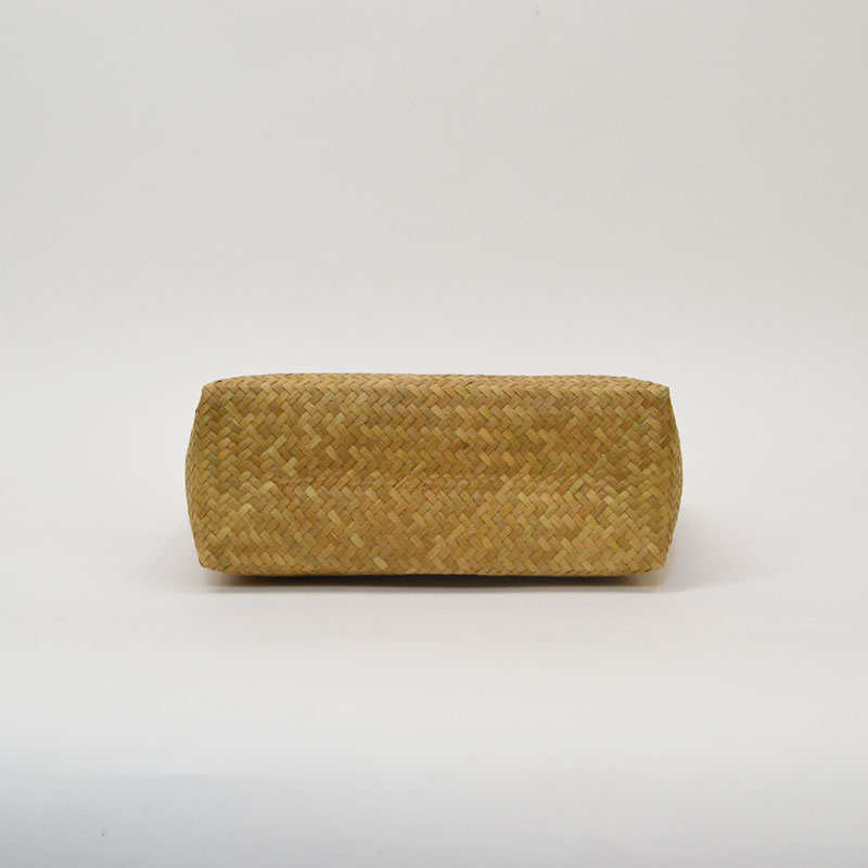 ������ �����塼 �����Хå� ���������Хå� �� �ܥ���