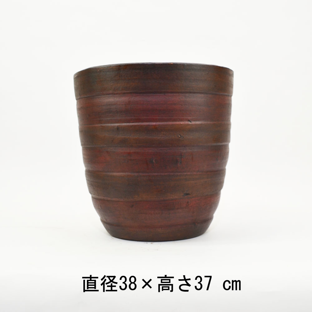 ���顼�ƥ饳�å�ȭ ����ȭ �ܡ����� L �ץ�󥿡� 12�� ��