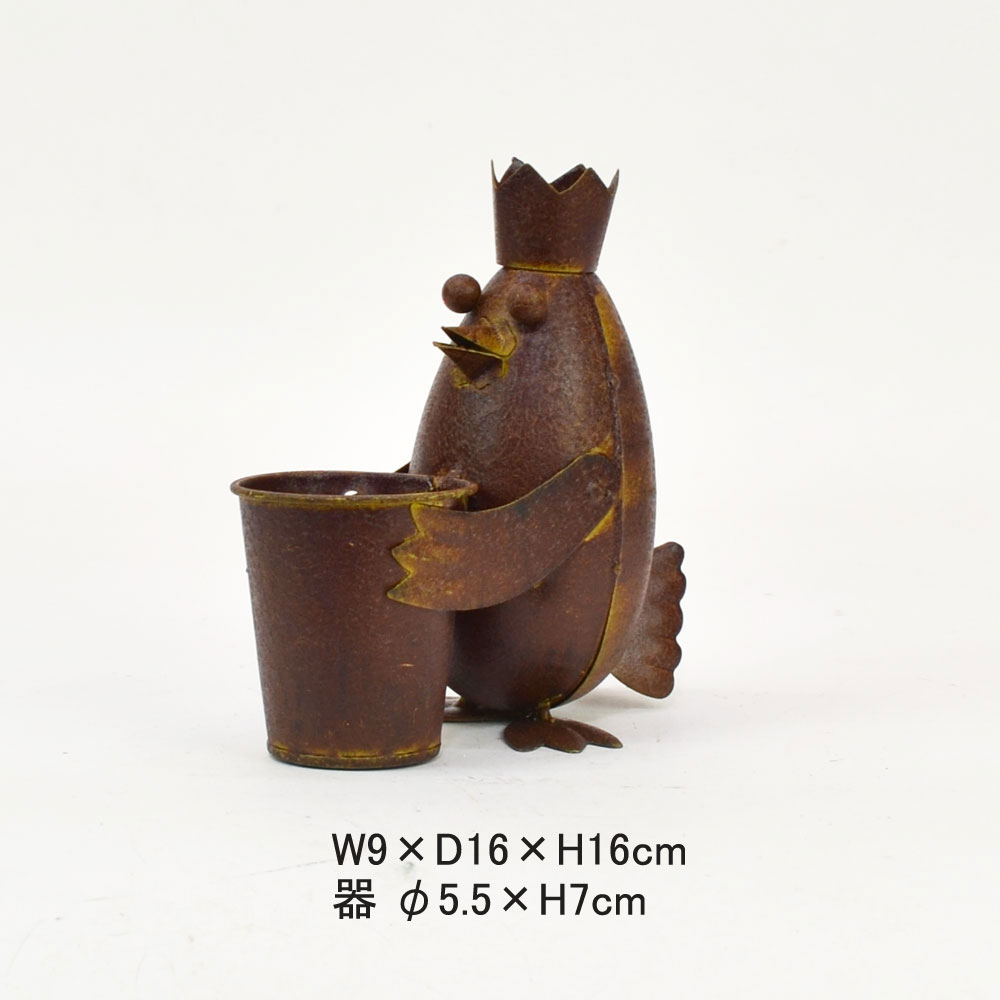 �֥ꥭ���꡼�� �ڥ󥮥�ץ��顼 �֥ꥭ �ץ�󥿡� ȭ