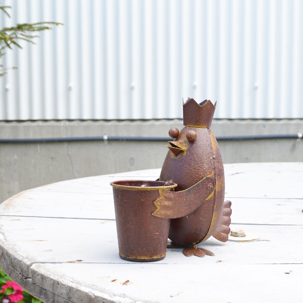 �֥ꥭ���꡼�� �ڥ󥮥�ץ��顼 �֥ꥭ �ץ�󥿡� ȭ