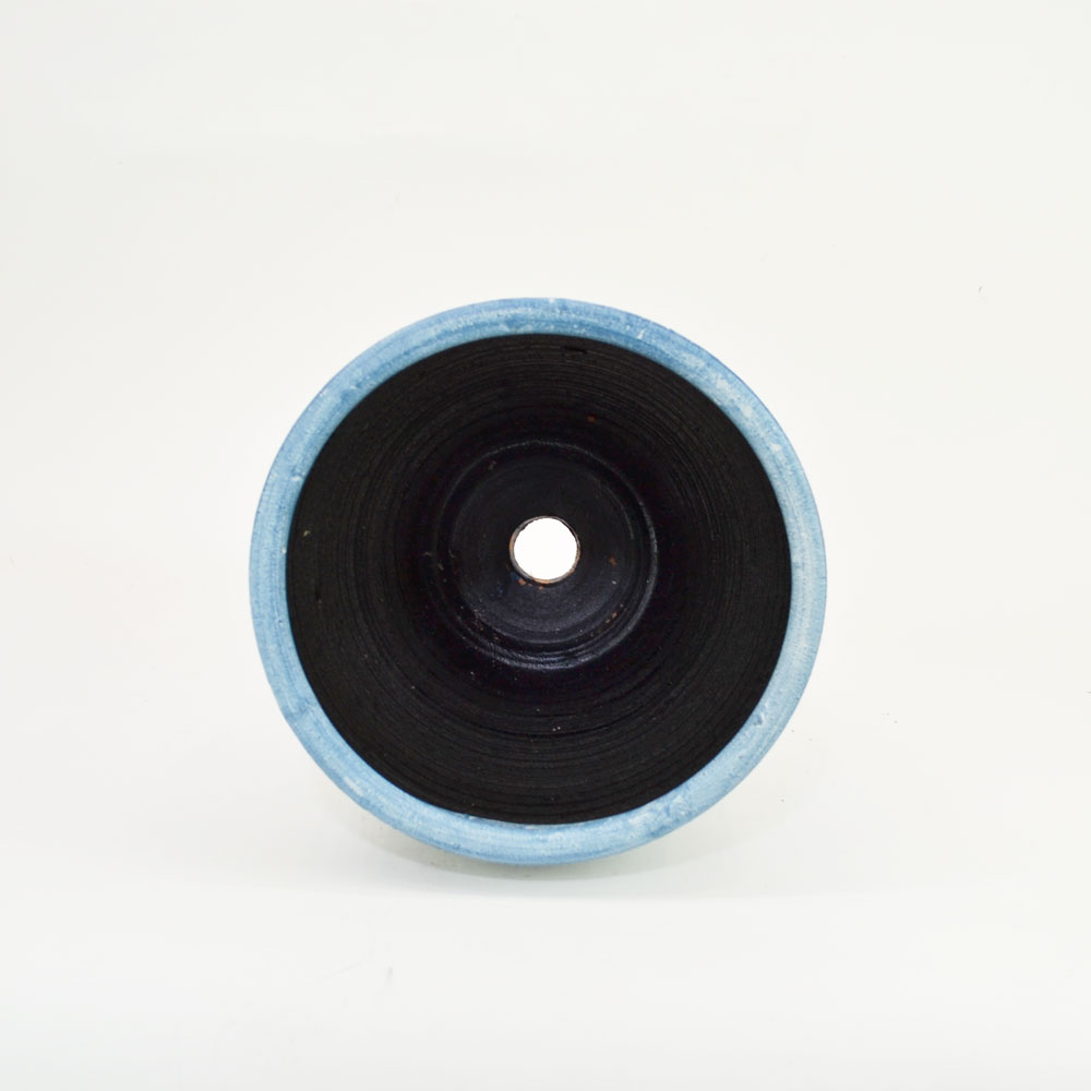 ���顼�ƥ饳�å�ȭ ����ȭ �֥롼�꡼��M �ץ�󥿡� 10��