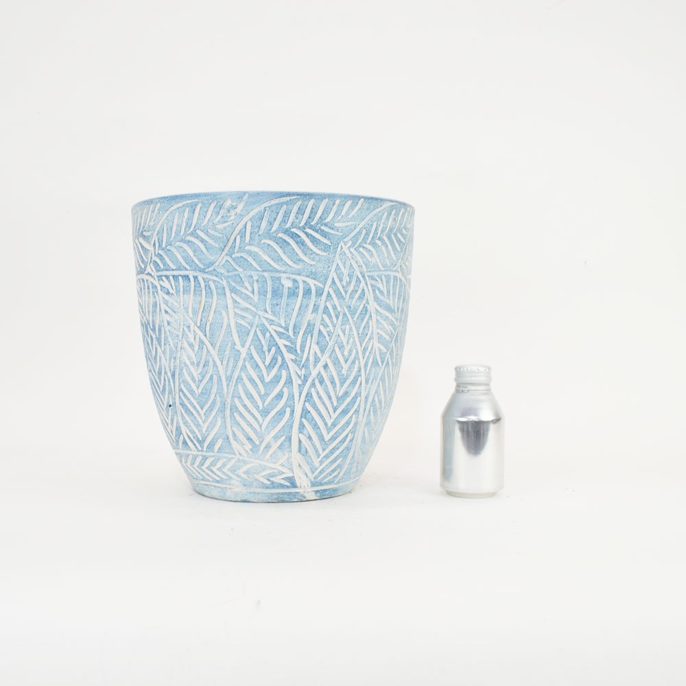 ���顼�ƥ饳�å�ȭ ����ȭ �֥롼�꡼��M �ץ�󥿡� 10��