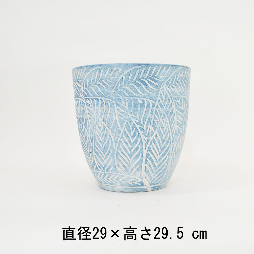 ���顼�ƥ饳�å�ȭ ����ȭ �֥롼�꡼��M �ץ�󥿡� 10��