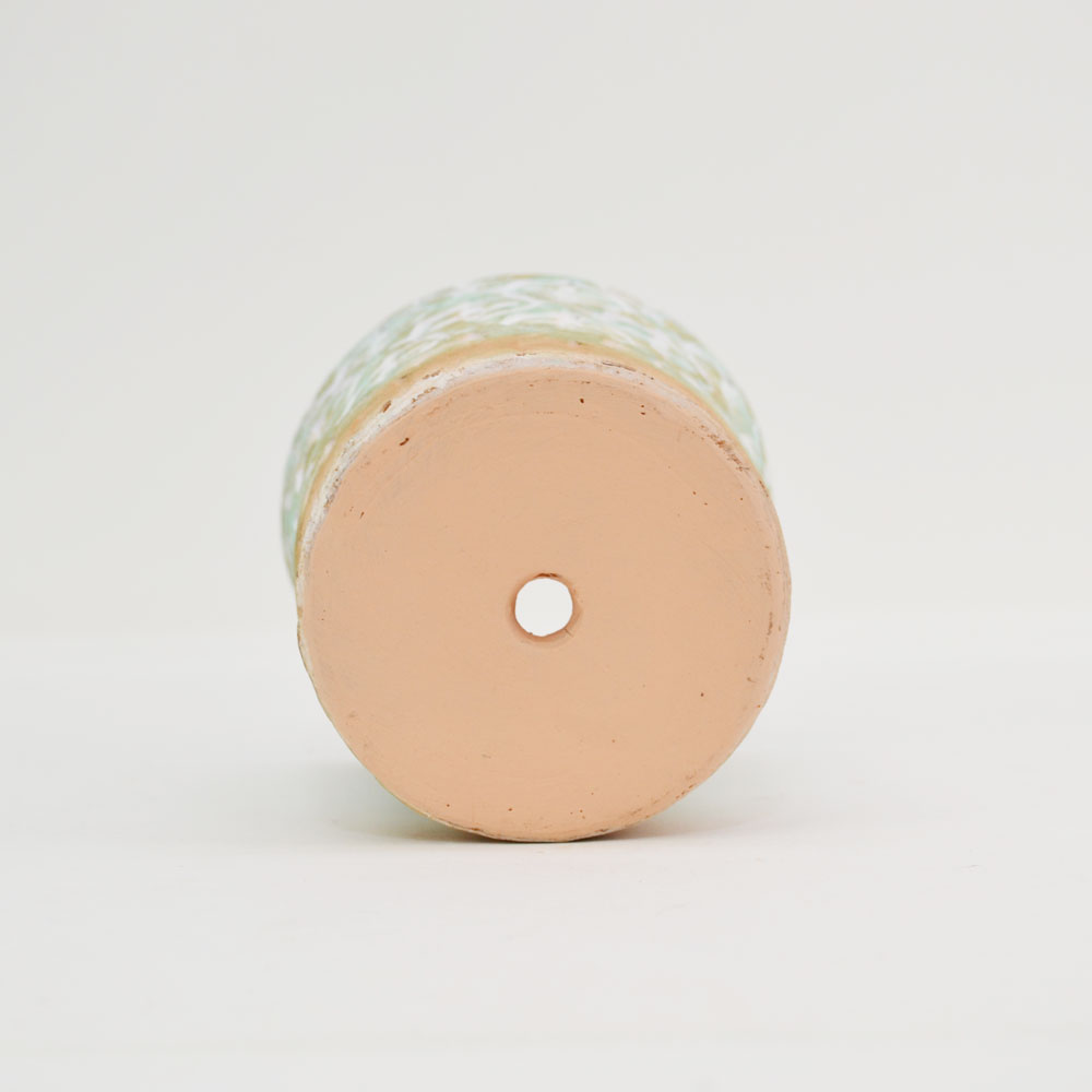 �ƥ饳�å�ȭ ����ȭ  �ե롼��SS 4�� �� �������